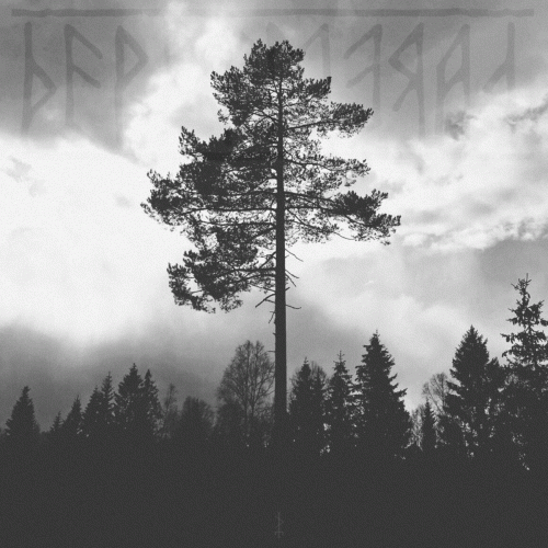 Hidden from the Light